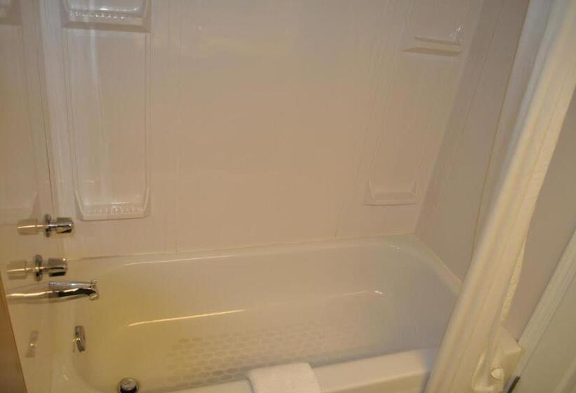 Deluxe Suite King Bed, Travelodge By Wyndham Langley