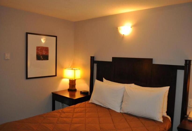 اتاق استاندارد با تخت بزرگ, Travelodge By Wyndham Langley