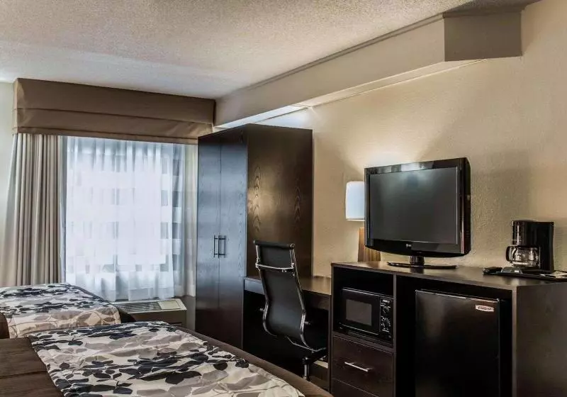 اتاق استاندارد با تخت بزرگ, Super 8 By Wyndham Castlegar Bc