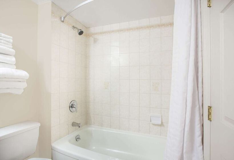 主题套房, Super 8 By Wyndham Castlegar Bc