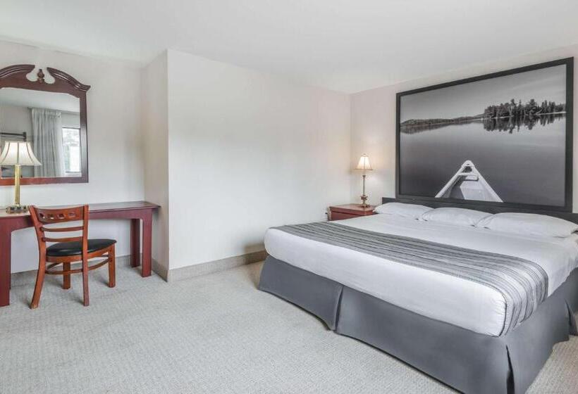 高级套房, Super 8 By Wyndham Guelph