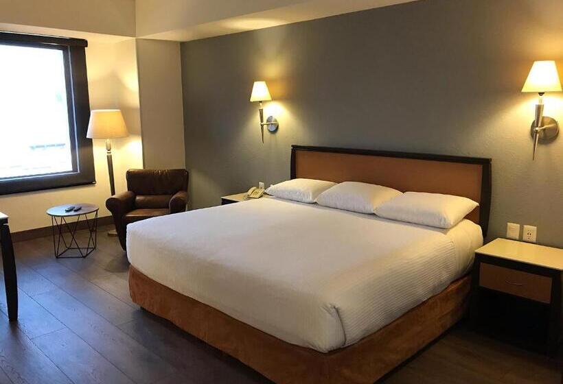 Стандартный Номер Кровать Кинг, Turotel Morelia