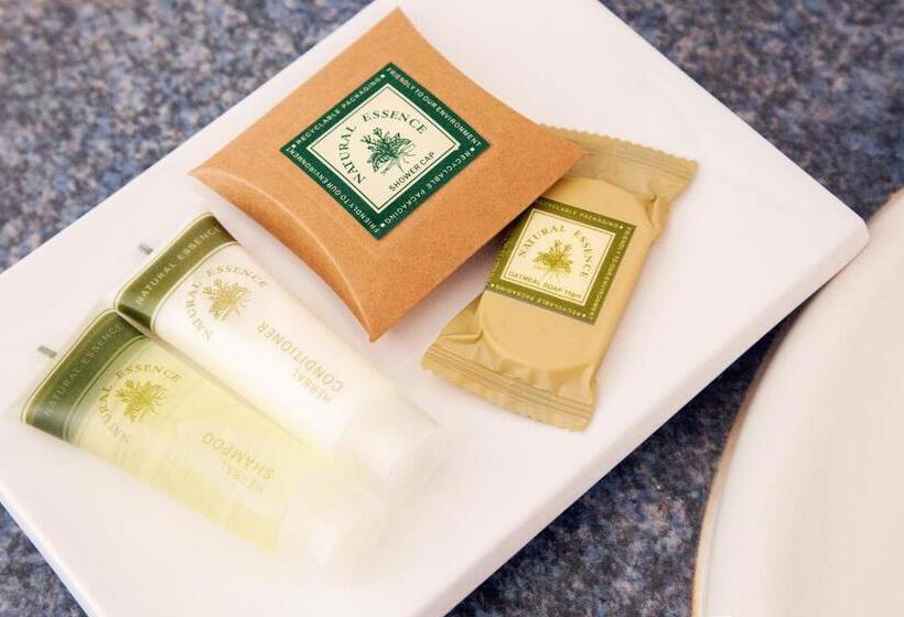 غرفة ديلوكس عائلية, Tudor Inn Newcastle