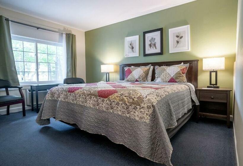キングサイズベッドのデラックスルーム, Acadia Pines Motel