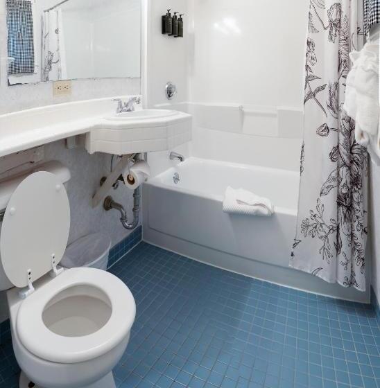 スタンダードルーム, Acadia Pines Motel