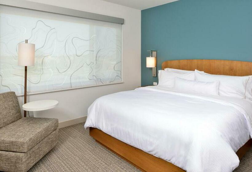 חדר סטנדרט יחיד, Element Kansas City Overland Park