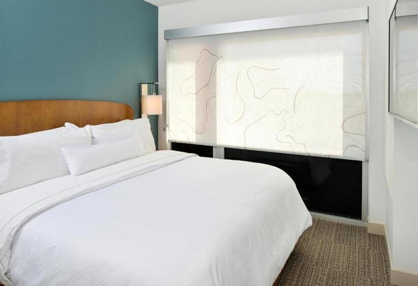 מיטת קינג בסוויטה, Element Kansas City Overland Park