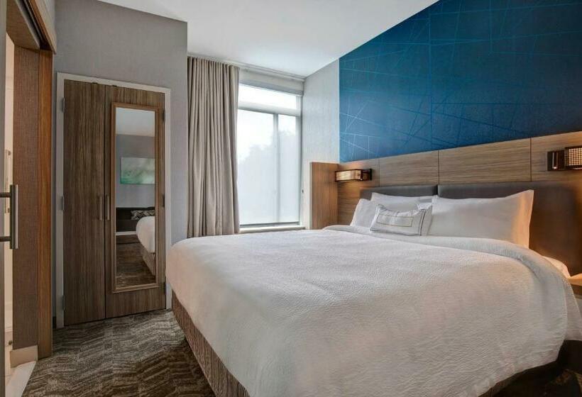 带大床的套房, Springhill Suites By Marriott Orangeburg