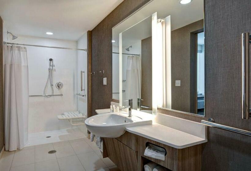 带皇后床的套间, Springhill Suites By Marriott Orangeburg