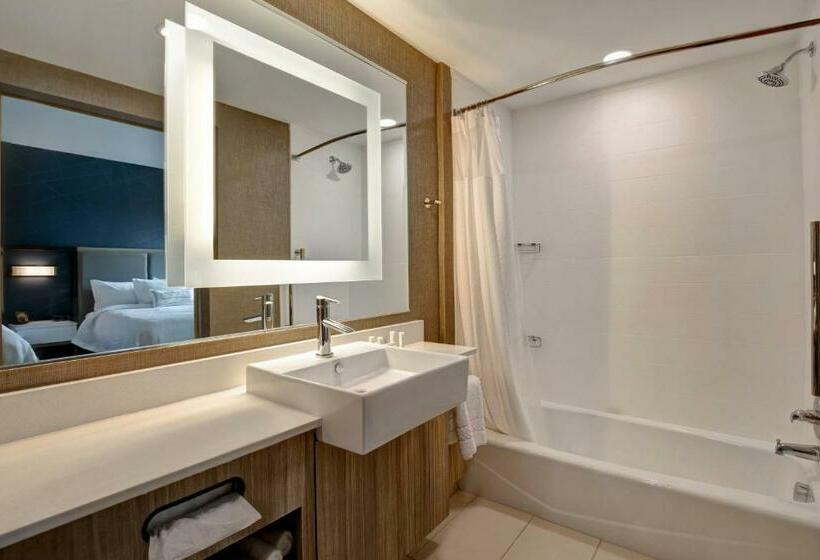 带皇后床的套间, Springhill Suites By Marriott Orangeburg