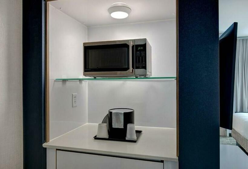 带皇后床的套间, Springhill Suites By Marriott Orangeburg