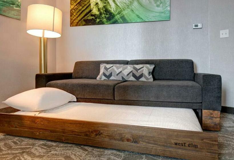 带皇后床的套间, Springhill Suites By Marriott Orangeburg