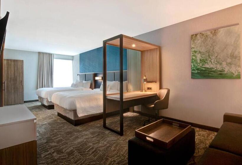 带皇后床的套间, Springhill Suites By Marriott Orangeburg