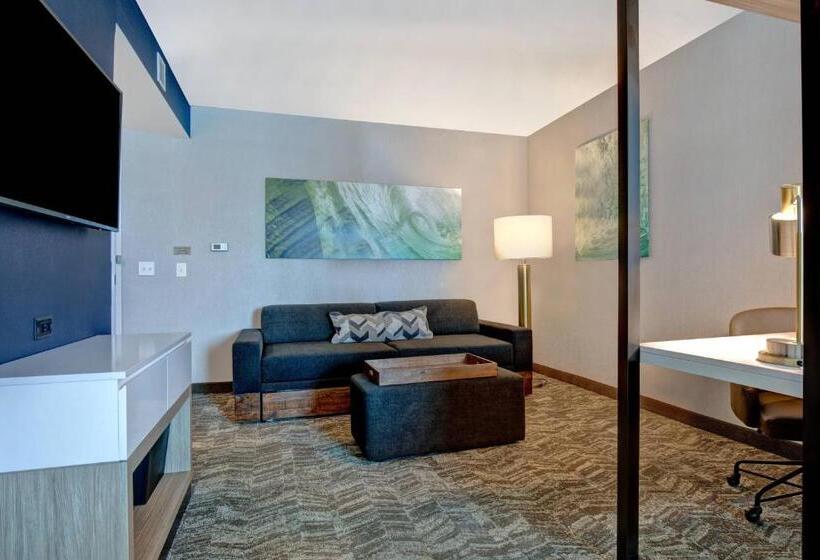 带皇后床的套间, Springhill Suites By Marriott Orangeburg