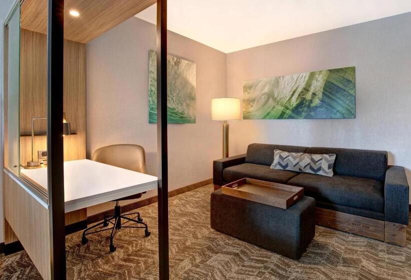 带皇后床的套间, Springhill Suites By Marriott Orangeburg