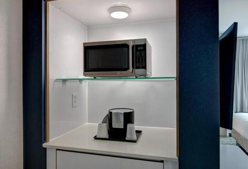 Люкс Адаптированный для Инвалидов, Springhill Suites By Marriott Orangeburg