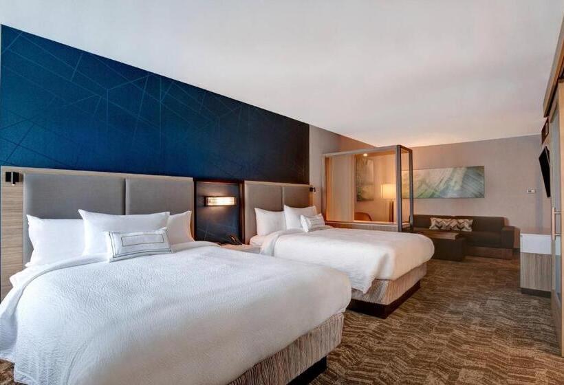 适合残疾人士使用的套间, Springhill Suites By Marriott Orangeburg