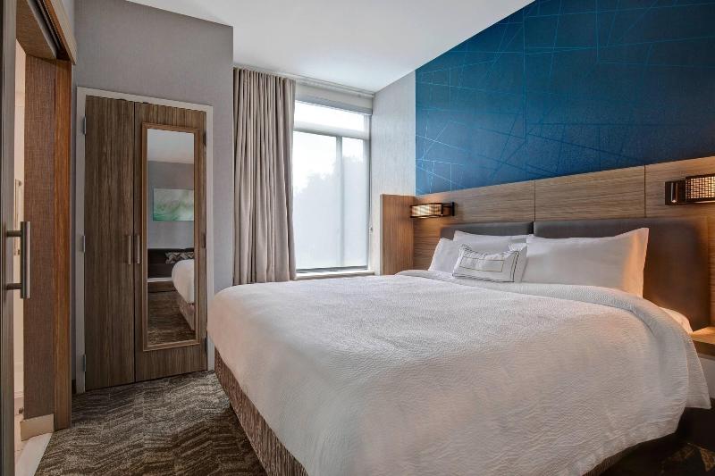 带大床的套房, Springhill Suites By Marriott Orangeburg