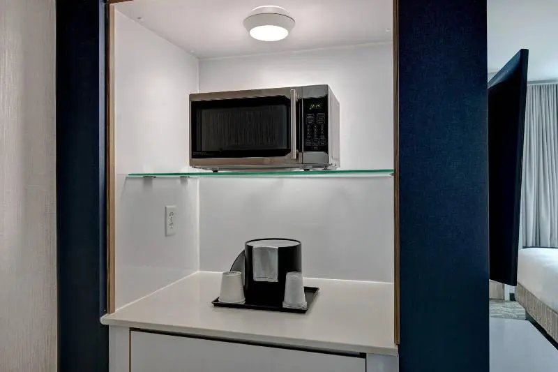 キングサイズベッドのスイートルーム, Springhill Suites By Marriott Orangeburg