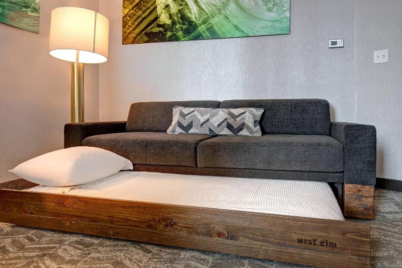 带皇后床的套间, Springhill Suites By Marriott Orangeburg