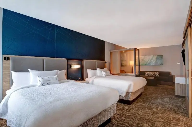 クイーンサイズベッドのスイートルーム, Springhill Suites By Marriott Orangeburg