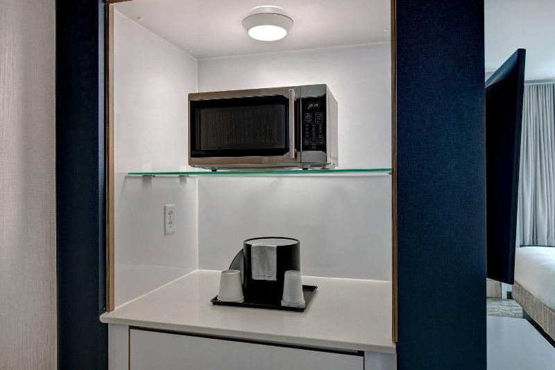 带皇后床的套间, Springhill Suites By Marriott Orangeburg