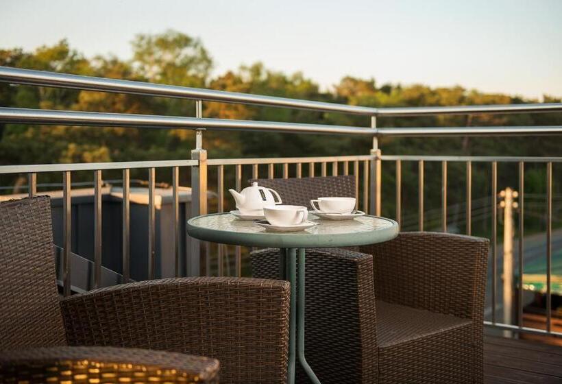 جناح ديلوكس سرير كينج, Willa Złota