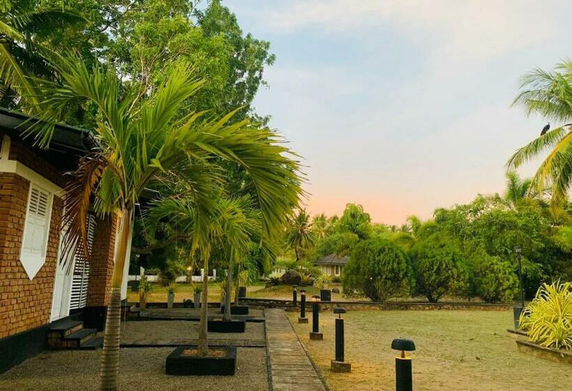 غرفة قياسية ثلاثية ذات اطلالة, Sethway Village