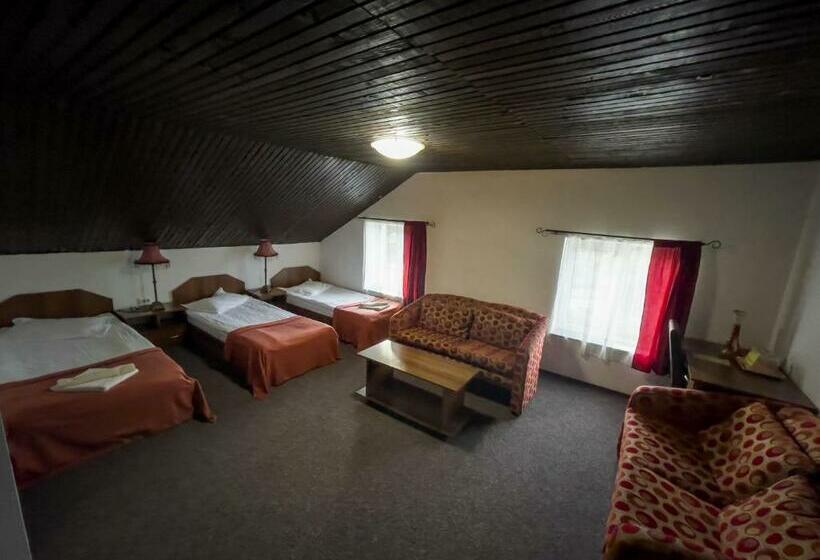 ベーシックトリプルルーム, Pensiunea Dacia Deva