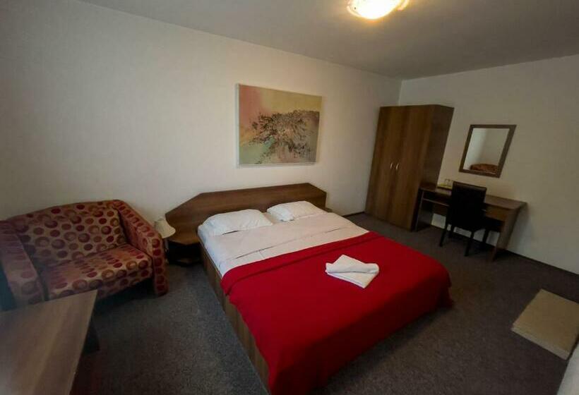 エコノミーシングルルーム, Pensiunea Dacia Deva