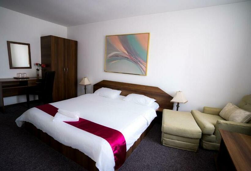 スタンダードルーム, Pensiunea Dacia Deva