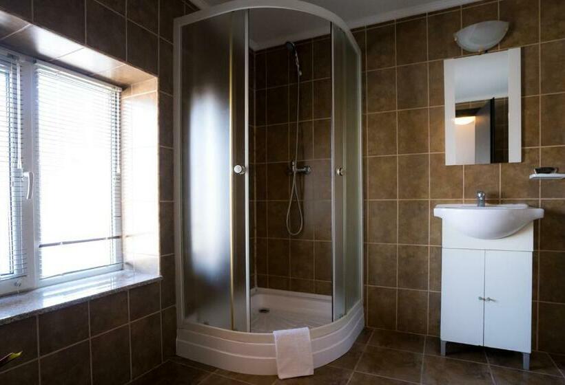 スタンダードルーム, Pensiunea Dacia Deva