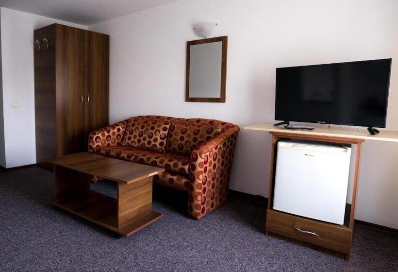 スタンダードルーム, Pensiunea Dacia Deva