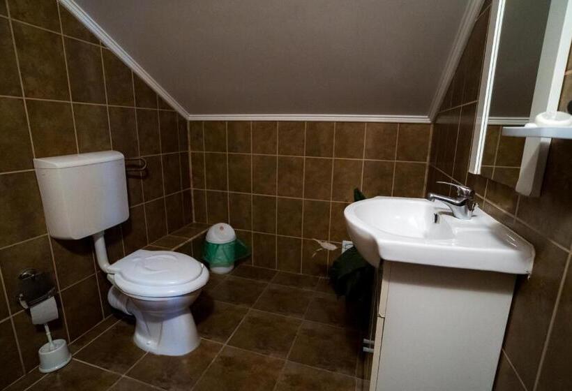 ベーシックトリプルルーム, Pensiunea Dacia Deva