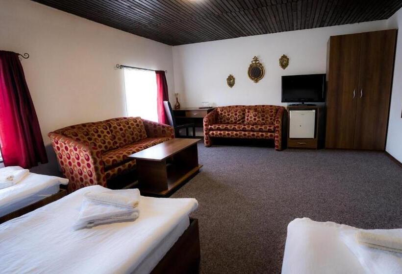 ベーシックトリプルルーム, Pensiunea Dacia Deva