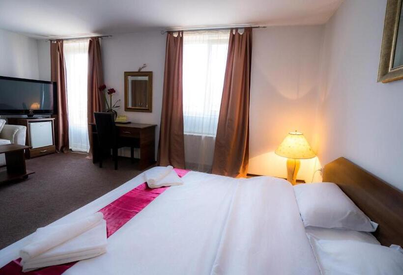 バルコニー付きデラックスルーム, Pensiunea Dacia Deva