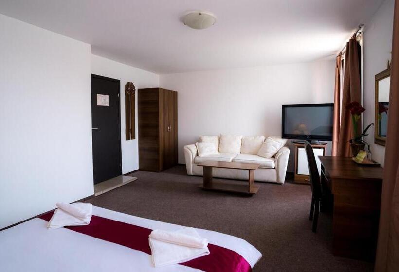 バルコニー付きデラックスルーム, Pensiunea Dacia Deva