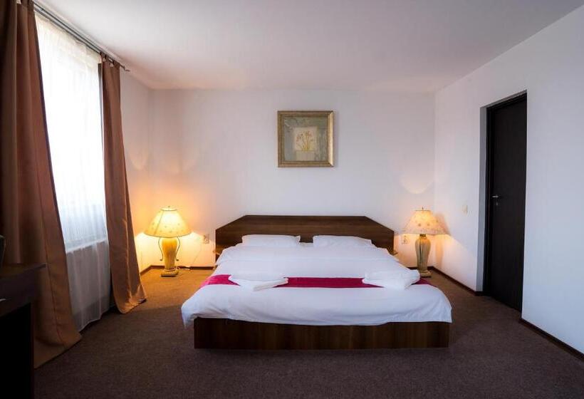 バルコニー付きデラックスルーム, Pensiunea Dacia Deva