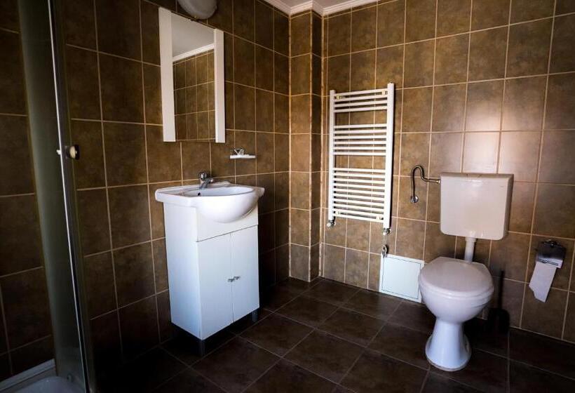 エコノミーシングルルーム, Pensiunea Dacia Deva