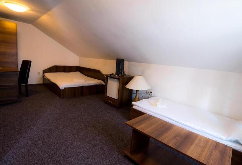 エコノミーシングルルーム, Pensiunea Dacia Deva