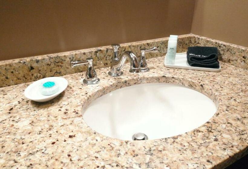 标准单人间, Timberlake Lodge