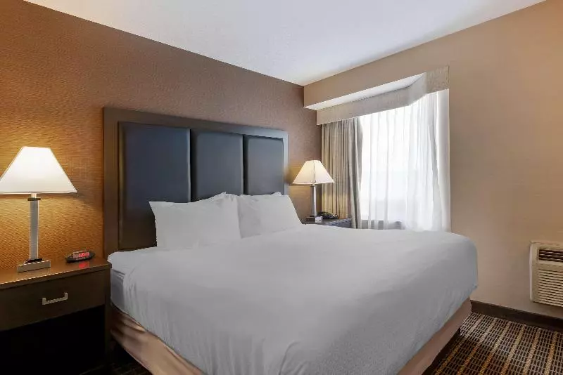 اتاق کلاس بیزنس, Plaza Inn Leonberg