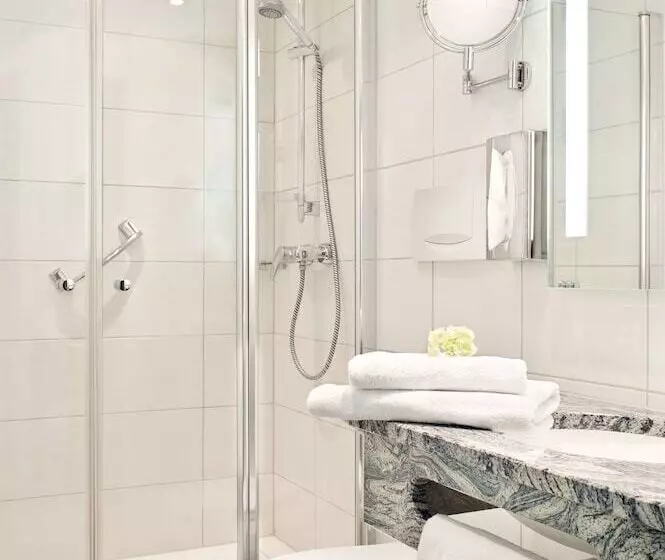 デラックスルーム, Best Western Hotel Favorit
