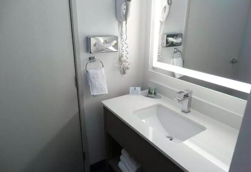 スタンダードルーム, Best Western Grants Inn