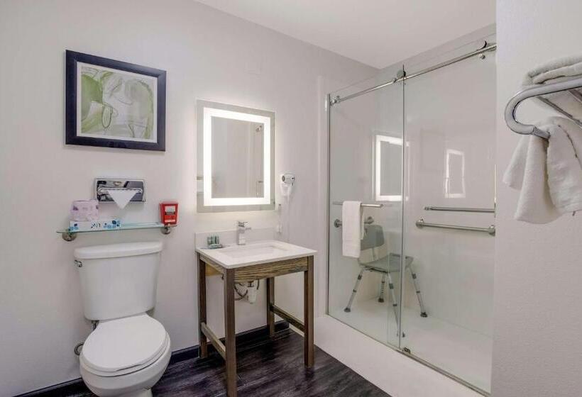 غرفة قياسية سرير كينج لذوى الإحتياجات الخاصة, Best Western Grants Inn