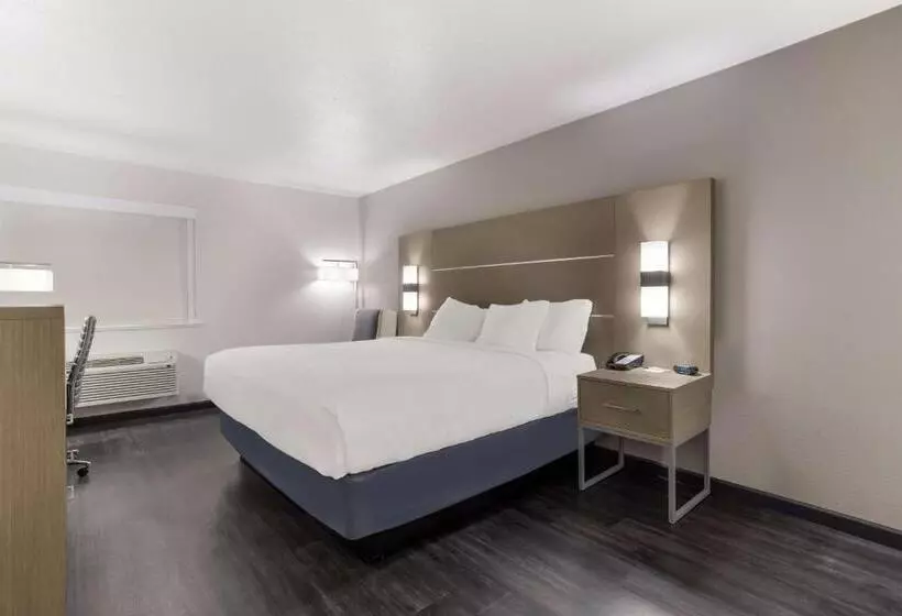 身障者適用キングサイズベッドルーム, Best Western Grants Inn