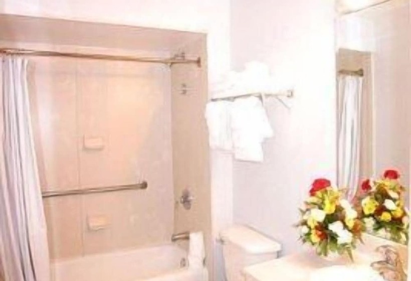 סוויטה משפחתית, Cocoa Beach Suites