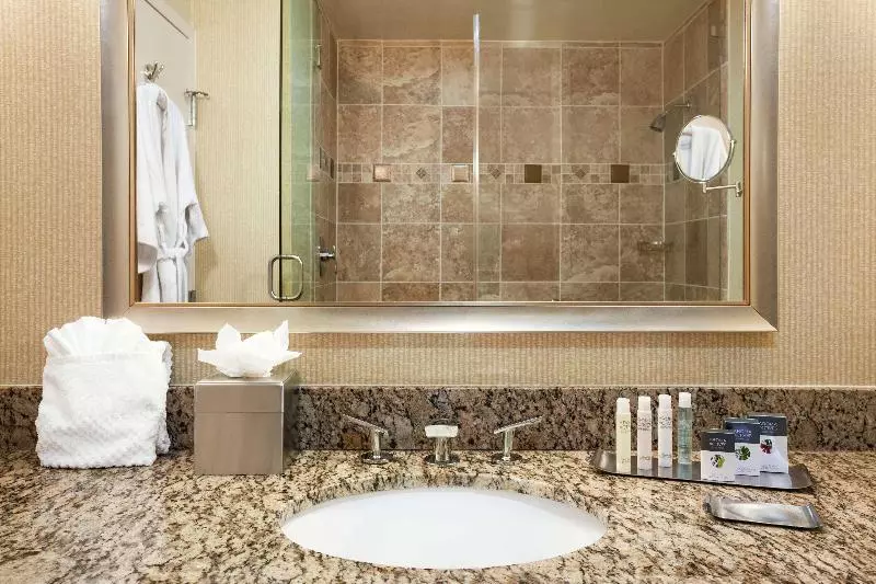 اتاق استاندارد با تخت بزرگ, Doubletree By Hilton Hotel Dallas – Love Field