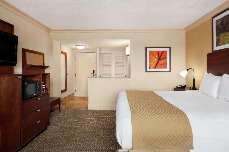 Standard Szoba King Size Bed, Doubletree By Hilton Hotel Dallas – Love Field
