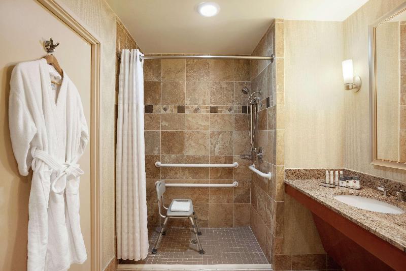 Standard Szoba King Size Bed, Doubletree By Hilton Hotel Dallas – Love Field